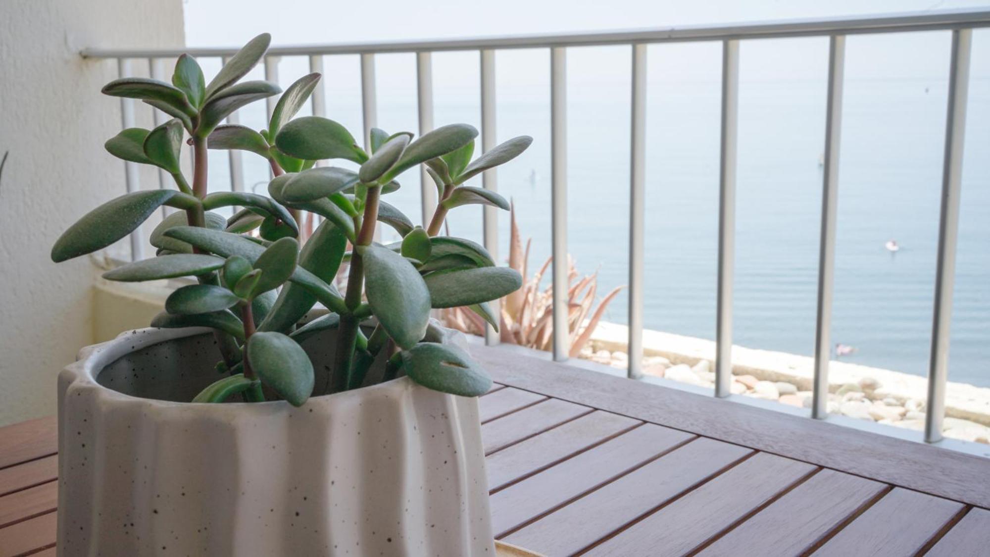 Appartement Brisa Del Mar